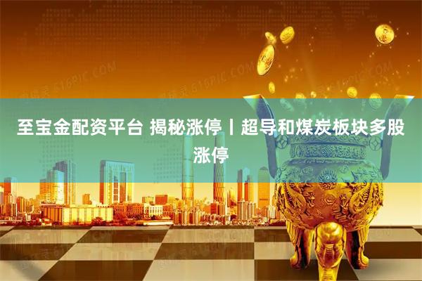 至宝金配资平台 揭秘涨停丨超导和煤炭板块多股涨停
