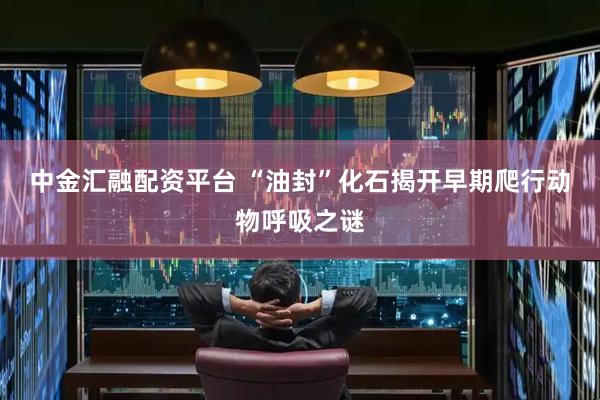 中金汇融配资平台 “油封”化石揭开早期爬行动物呼吸之谜